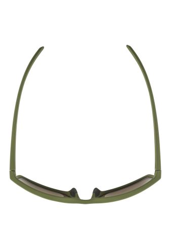 Купить Очки Alpina Nacan I Olive Matt/Bronce Mirror Cat.3 в Белгороде