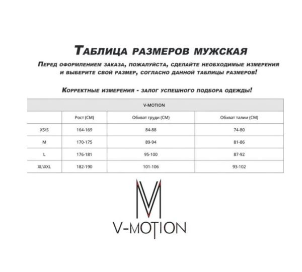 Термобельё V-MOTION Base мужской серебристый в Белгороде