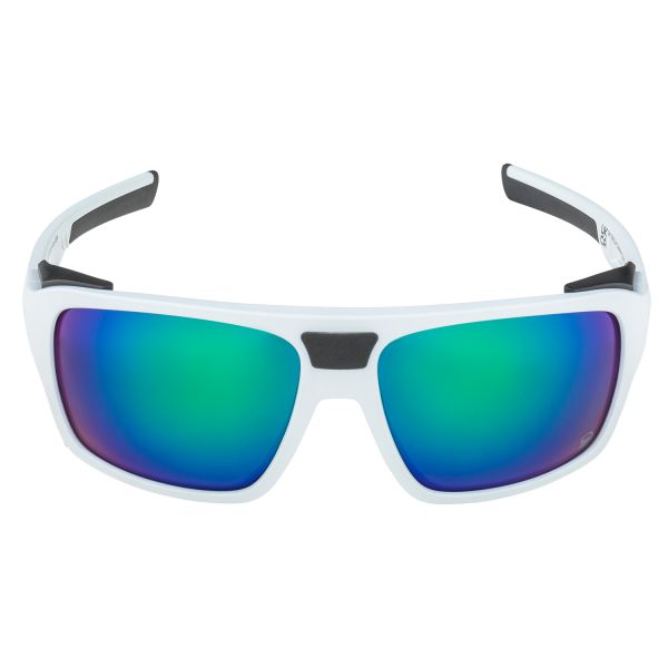 Купить очки alpina skywalsh q smoke-grey matt/green mirror cat.4 fogstop в Белгороде