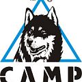 Кошки CAMP в Белгороде