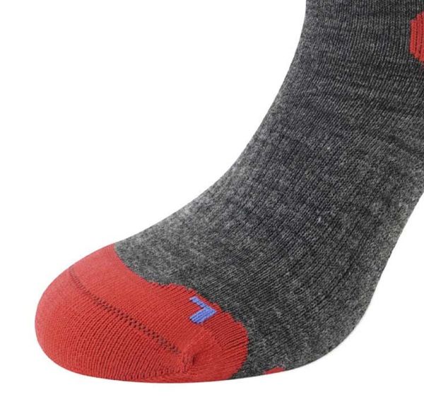 Купить Носки LENZ Skiing Kids Grey/Red/Blue в Белгороде